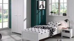 Draaideurkast Erik 2-deurs